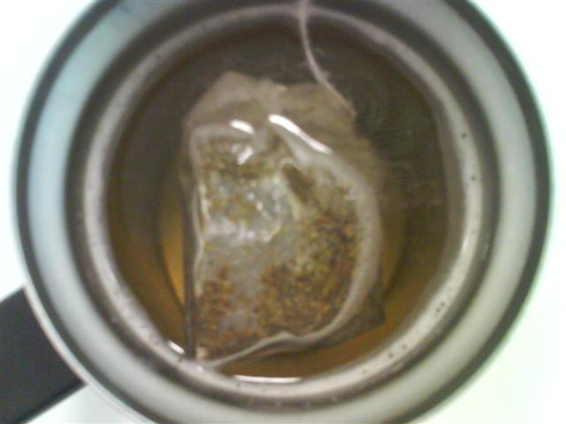dsc00115-small.JPG